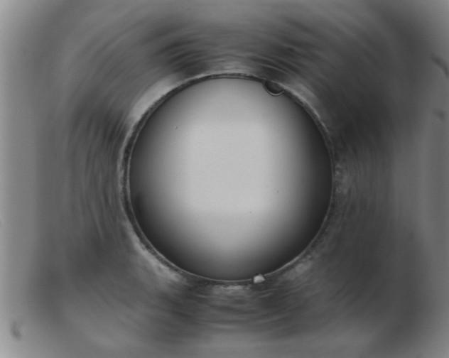 X0000103501135200809191939