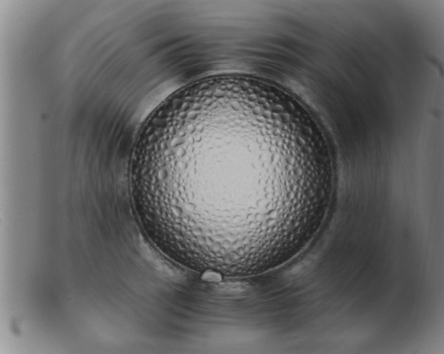 X0000103501137200809191939