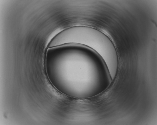 X0000103501138200809191939