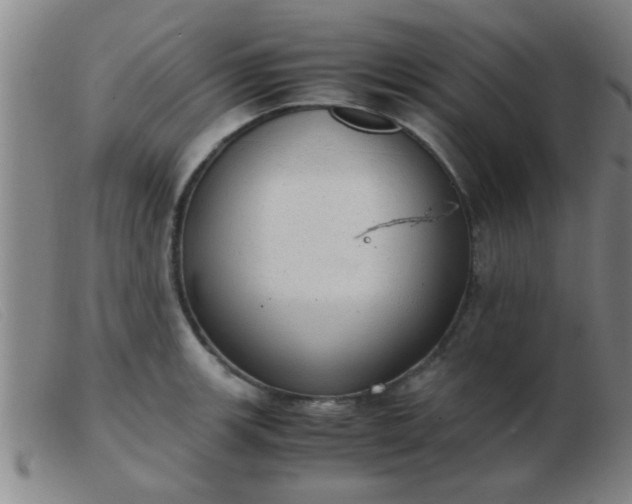 X0000103501139200809191939