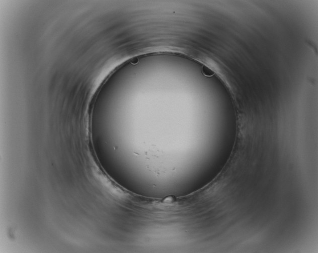 X0000103501140200809191939