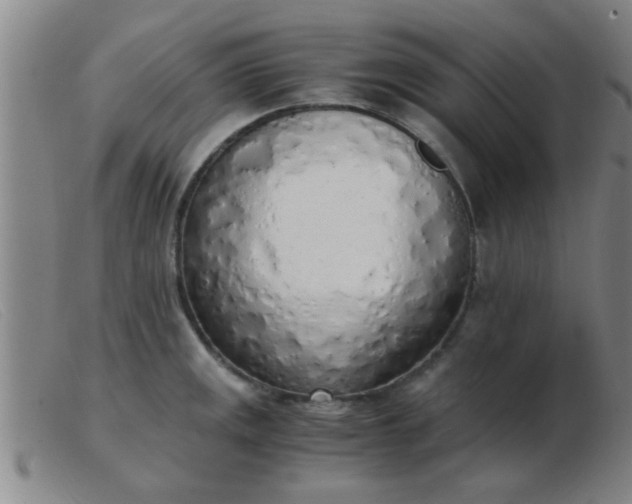 X0000103501141200809191939