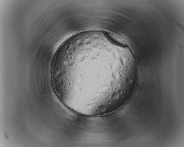 X0000103501142200809191939