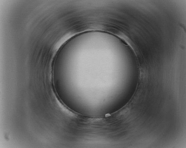 X0000103501143200809191939