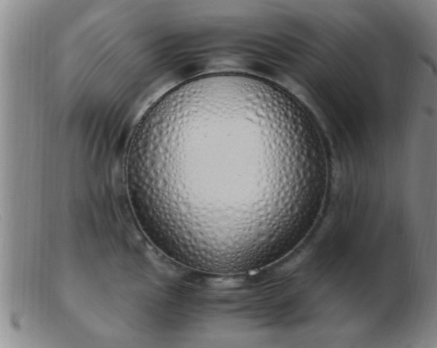 X0000103501145200809191939