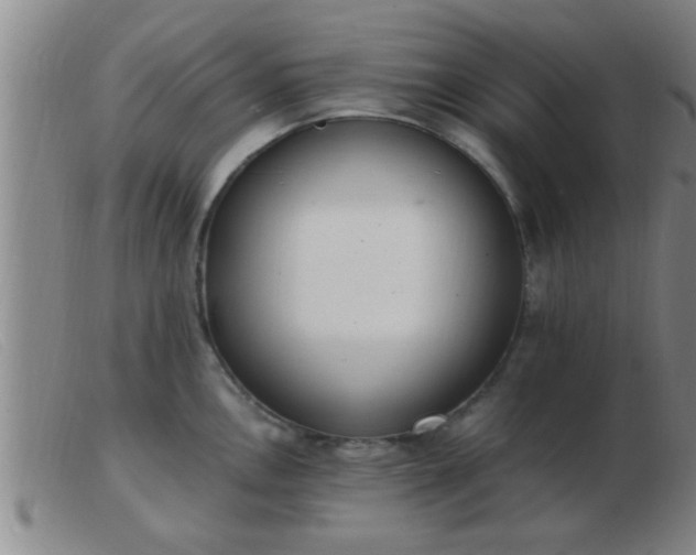 X0000103501146200809191940