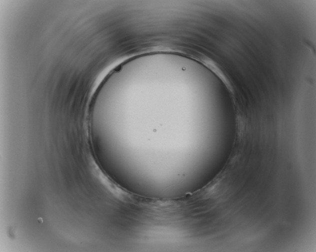 X0000103501148200809191940