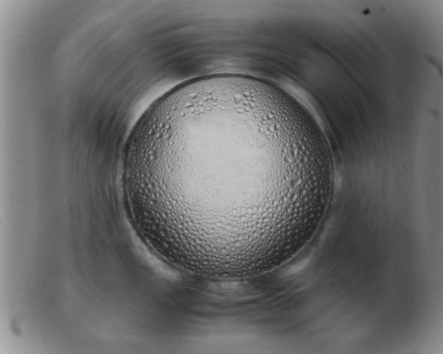 X0000103501149200809191940