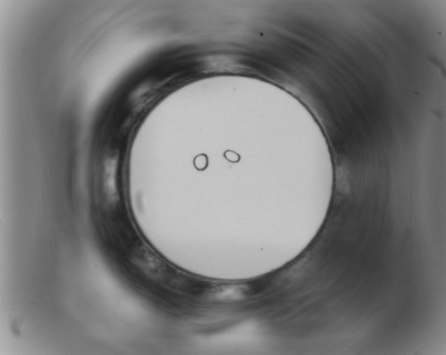 X0000103501150200809191940