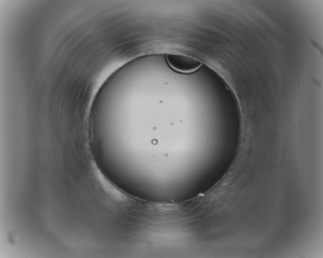 X0000103501152200809191940