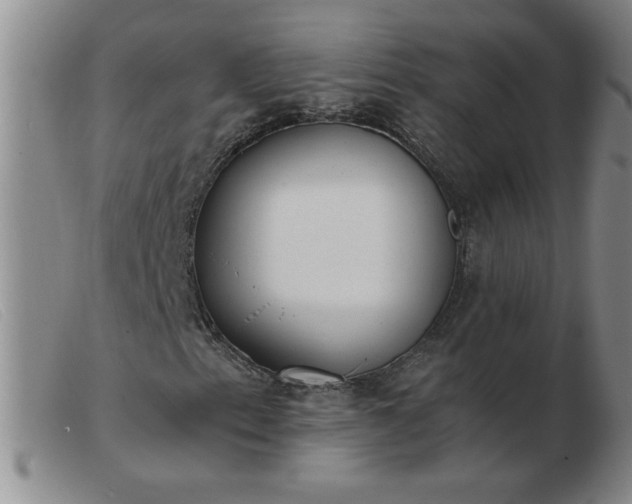 X0000103501153200809191939