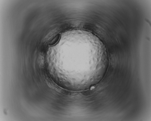 X0000103501154200809191939