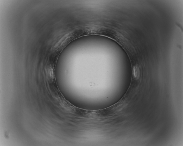 X0000103501155200809191939