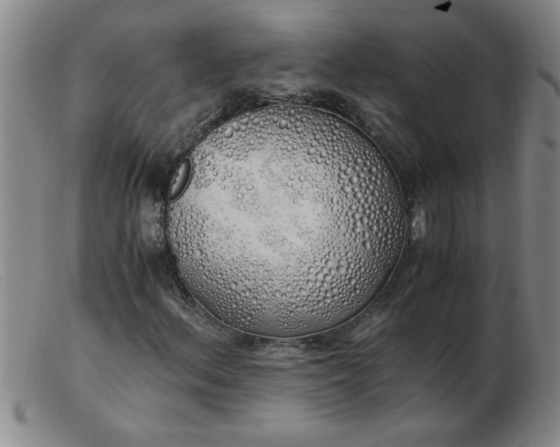 X0000103501156200809191939