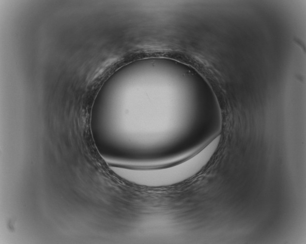 X0000103501157200809191939