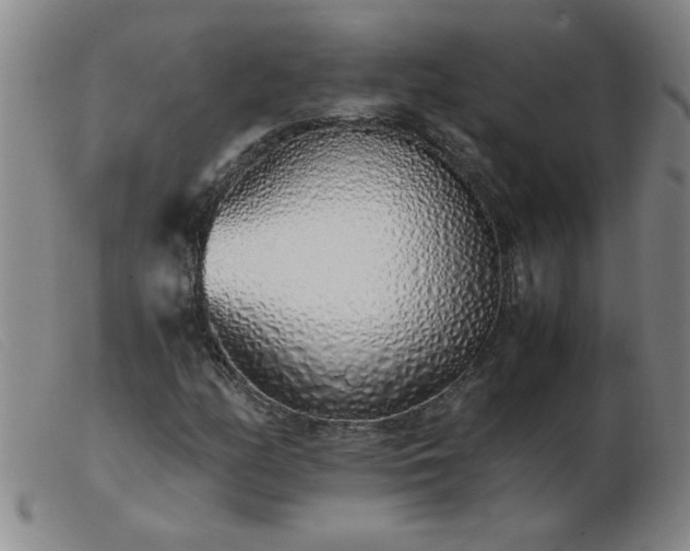 X0000103501158200809191939