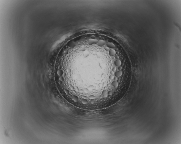 X0000103501159200809191939