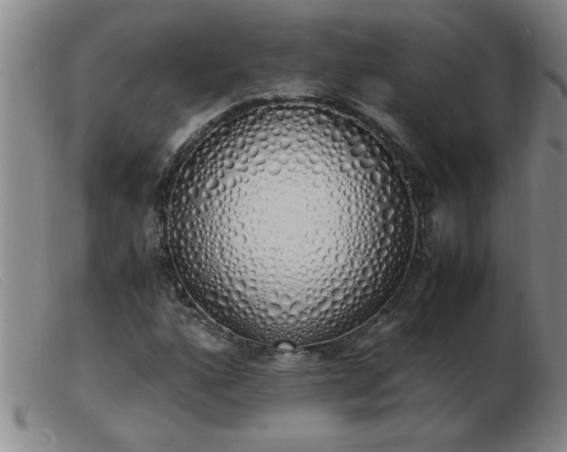 X0000103501160200809191939