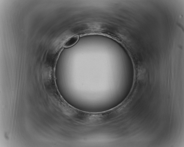 X0000103501161200809191939