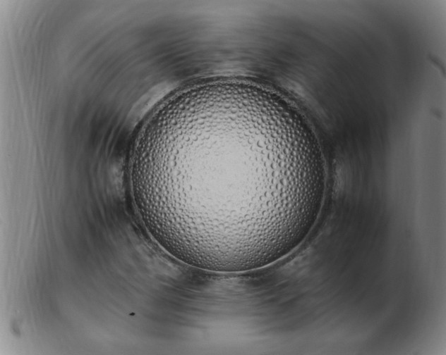 X0000103501162200809191939