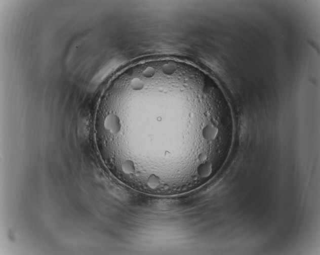 X0000103501163200809191939