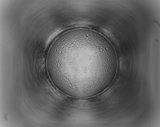 X0000103501164200809191939