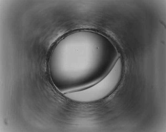 X0000103501165200809191939