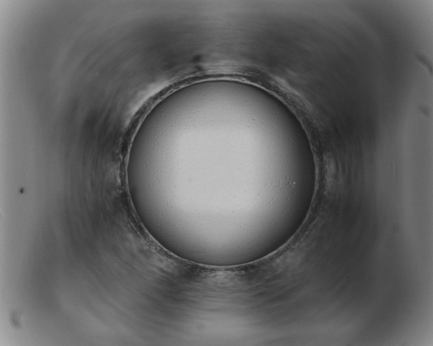 X0000103501166200809191939