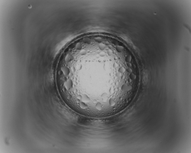 X0000103501167200809191939