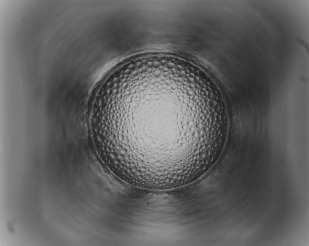 X0000103501168200809191939