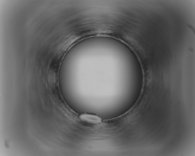 X0000103501169200809191939