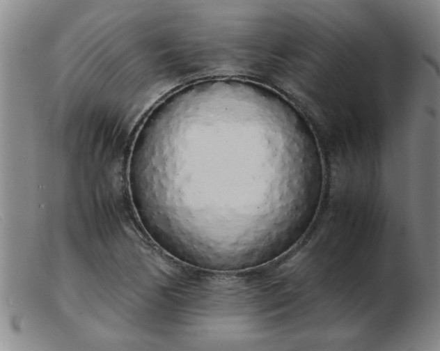 X0000103501170200809191939