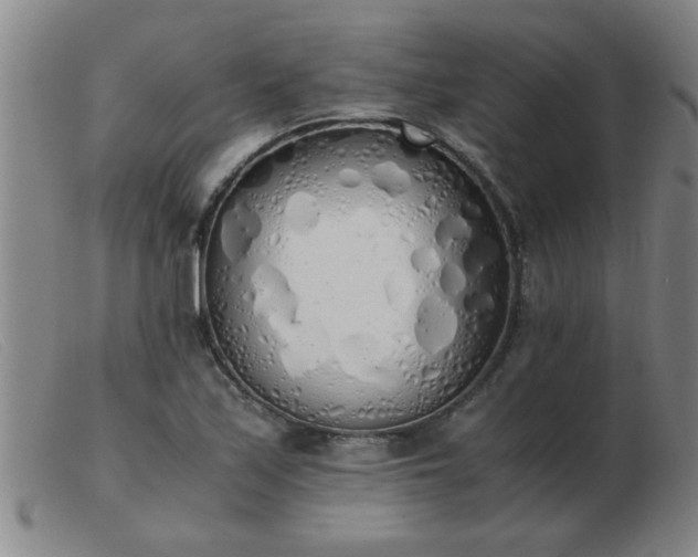 X0000103501171200809191939