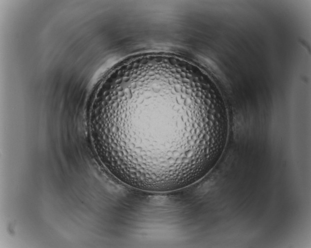 X0000103501172200809191938