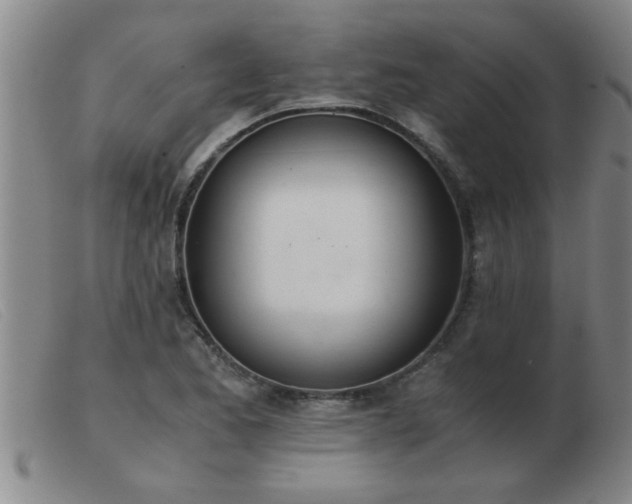 X0000103501173200809191938