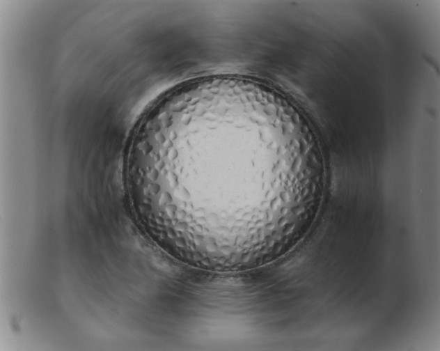 X0000103501174200809191938