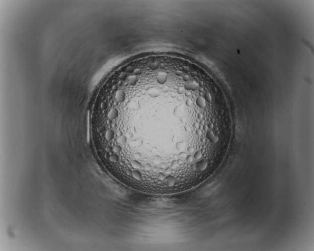 X0000103501175200809191938