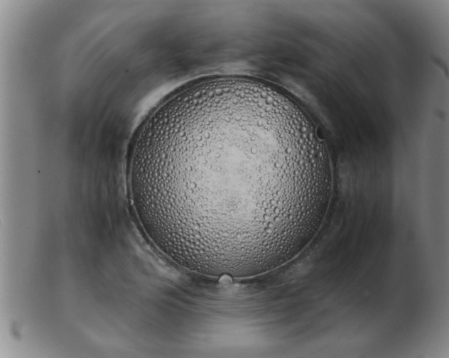 X0000103501176200809191938