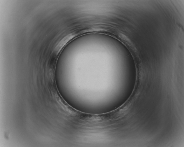 X0000103501177200809191938