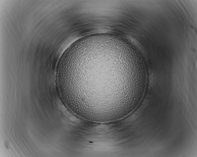 X0000103501178200809191938