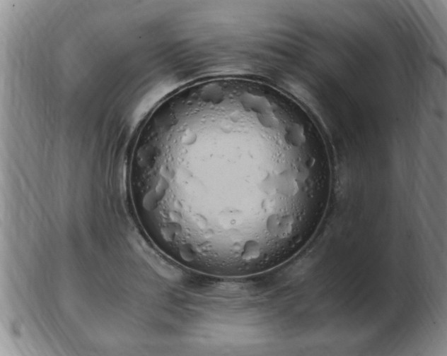 X0000103501179200809191938