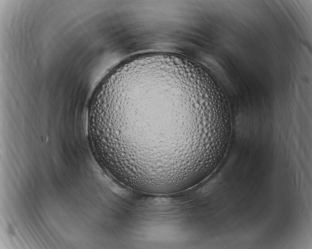 X0000103501180200809191938