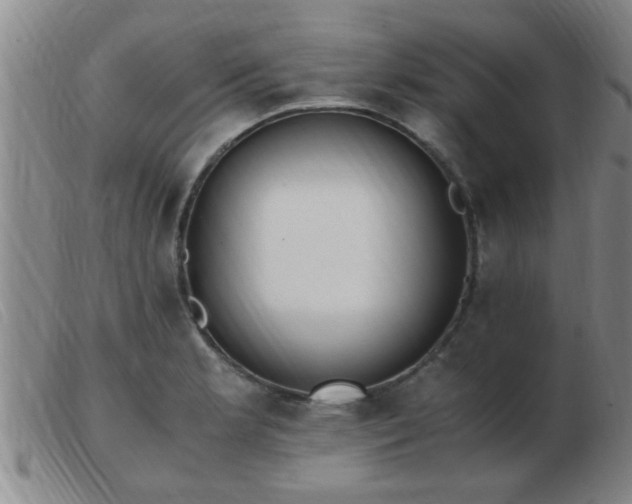 X0000103501181200809191938