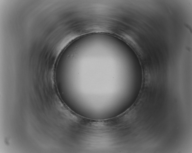 X0000103501182200809191938