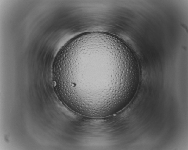 X0000103501184200809191938