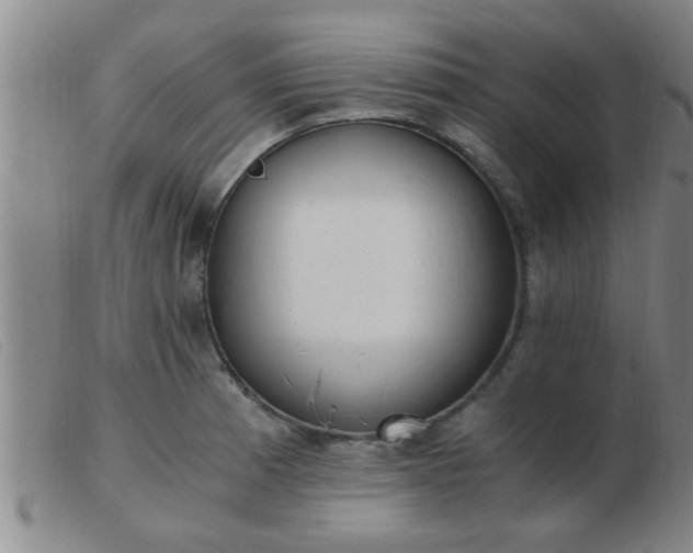 X0000103501185200809191938