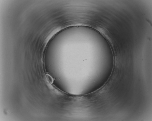 X0000103501189200809191938