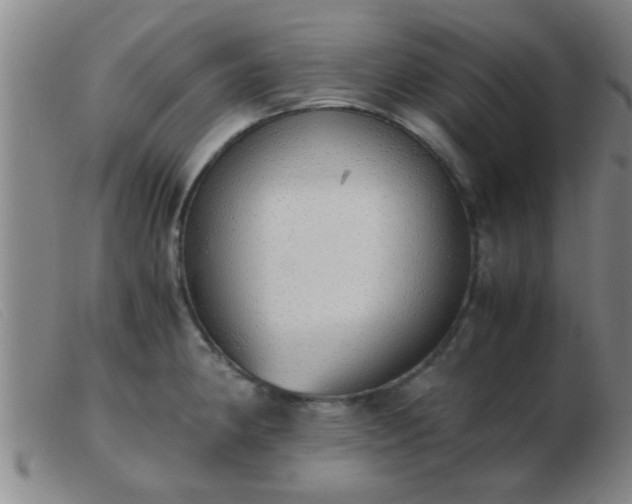 X0000103501190200809191938