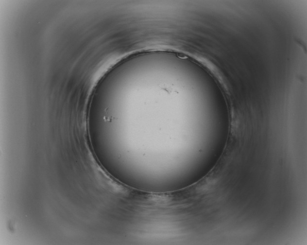 X0000103501191200809191938