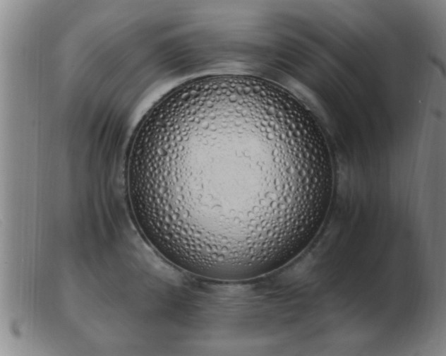 X0000103501192200809191938